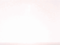 season 8 episode 10 GIF by SpongeBob SquarePants