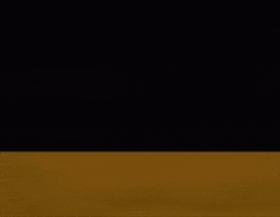 Bear Stalking GIF by Bobo Memes