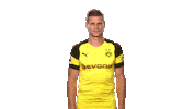 borussia dortmund wtf Sticker by Bundesliga