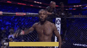 Mixed Martial Arts Sport GIF by UFC