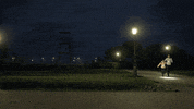boomerang running GIF by Decathlon