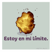 Cat Lol GIF by Castaways