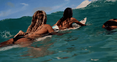 surf GIF