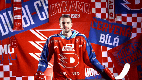 Hockeytown GIF by HC Dynamo Pardubice