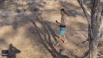 What Are You 'Goanna' Do? Lizard Chases Off Aussie Guy With Camera