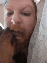 Sleepy Sausage Dog GIF