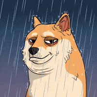 Raining Shiba Inu GIF by Doge Pound