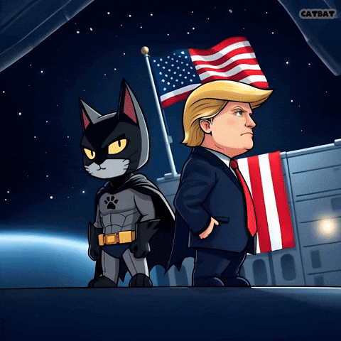 catbatmeme giphyupload funny cat cute GIF