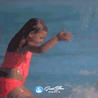 Prince Edward County Pool GIF by Great Blue Resorts