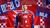 Hockeytown GIF by HC Dynamo Pardubice