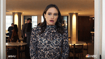 Episode 16 Reaction GIF by Law & Order