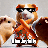 Joy Giving GIF by Guinea Gambino