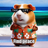 GIF by Guinea Gambino