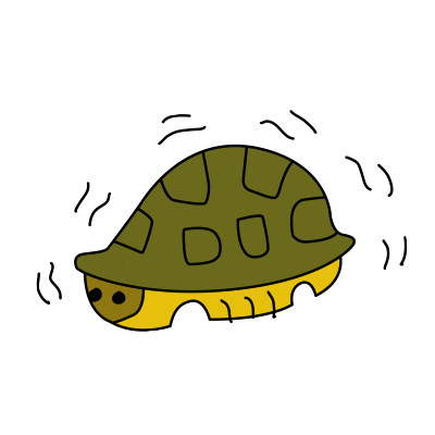 turtle shell Sticker by Lowi