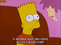 bart simpson episode 13 GIF