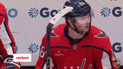 Happy Washington Capitals GIF by NHL