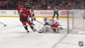 Happy Washington Capitals GIF by NHL