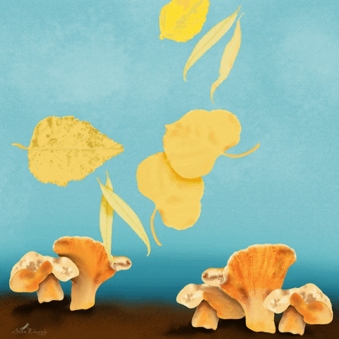 Sheri42 giphyupload falling leaves autumn leaves clmooc GIF