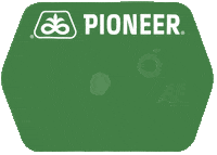 GIF by Pioneer Semillas