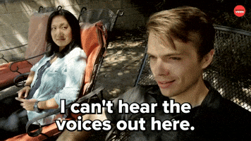 Can't Hear the Voices