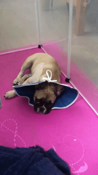 cremy ma im back GIF by namslam