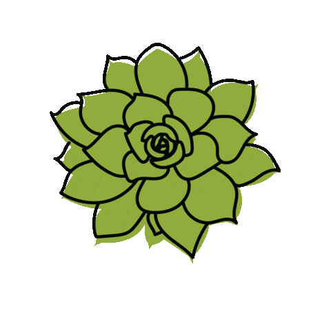 Grow Palm Springs Sticker by Succulent Studios