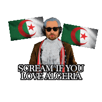 Algerien Algeria Flag Sticker