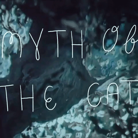 Dream Cars - Myth of the Cat