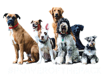 Dogs Pack Sticker by Red Beard