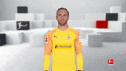 Line Up Reaction GIF by Bundesliga