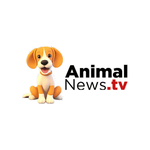 Dog Sticker by AnimalNewstTV