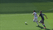 goal lyon GIF by Olympique Lyonnais