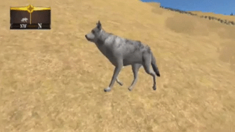 wolf GIF