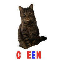 KatTimpf cat kat timpf gutfeld you cant joke about that Sticker