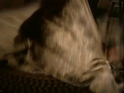 nickrewind giphydvr nicksplat are you afraid of the dark the tale of the dollmaker GIF