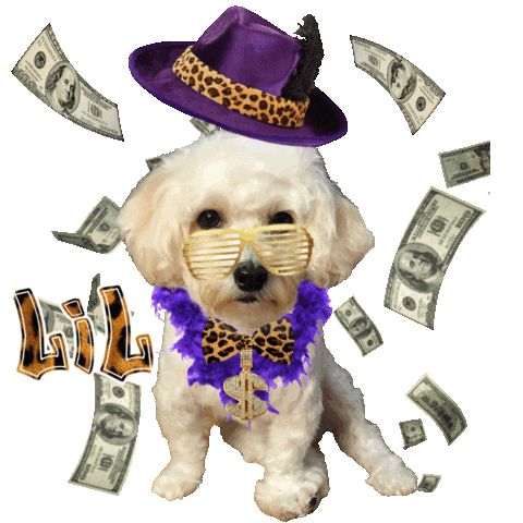 Dog Sticker by Pimp Yo Pets