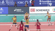 Power Wow GIF by Volleyball World