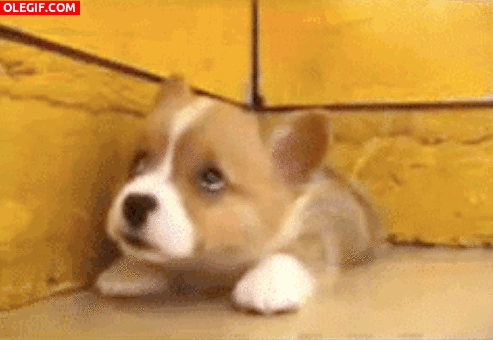 la un GIF