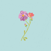 Flower GIF by The Brand New Studio
