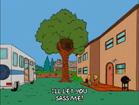 bart simpson episode 13 GIF