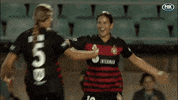 W-League Celebration GIF by wswanderersfc