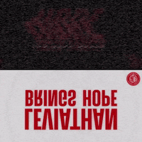 GIF by Wired Productions