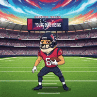 Shiba Inu Football GIF by Doge Pound