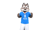 Celebration Goal Sticker by udst