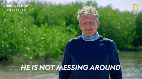 Gordon Ramsay Disney Plus GIF by National Geographic TV