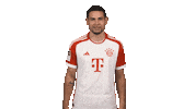 Fc Bayern Love Sticker by Bundesliga