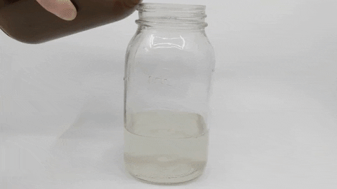 Ourwrensnest giphygifmaker GIF