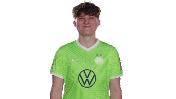 Oh No Football Sticker by VfL Wolfsburg