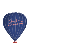 Hot Air Balloon Wedding Sticker by bootshaustegernsee