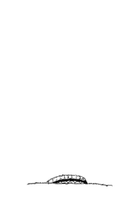 pisa sh4pefile Sticker by ANTIX